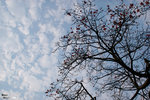DSC_4802a