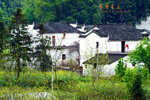 DSCF0222