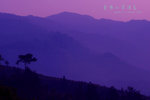 DSCF0364