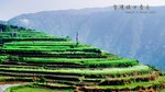 DSCF0540