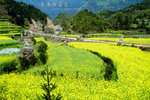 DSCF0626