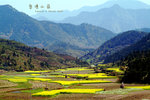 DSCF0712
