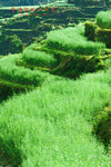 DSCF0855