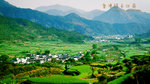 DSCF0869-1