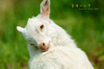 DSCF1389