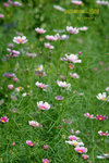 
DSCF0433