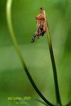 DSCF0444
