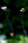 DSCF0479