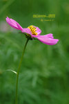 DSCF0622