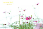 DSCF0641