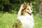 image0008