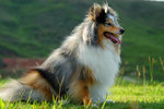 image0033