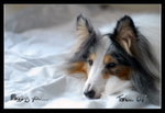 tanbie08