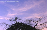24/07/2004<br>(Sunset)