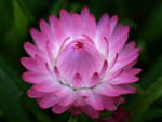 P3111098