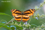 CRW_6546