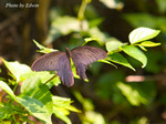 CRW_6571