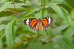 CRW_6626