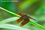 CRW_9070