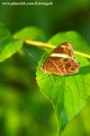 CRW_9076