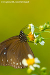 CRW_9102