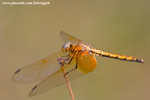 CRW_9560