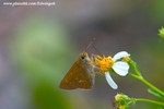 CRW_9585
