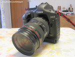 Eos 1D MKII   24-70 USM