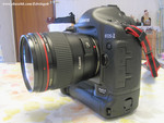 Eos 1D MKII   35 USM