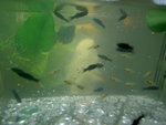 PICT0004