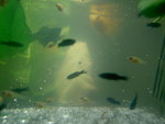 PICT0005