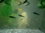 PICT0006