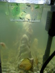 PICT0007