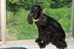 Image00016