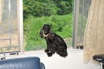 Image00023