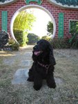 Image00044