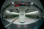 CRW_80021