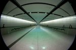 CRW_80041