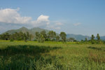 CRW_0040