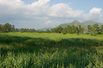 CRW_0041