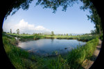 CRW_0058