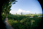 CRW_0060