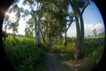 CRW_0061