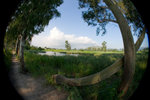 CRW_0062