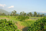 CRW_0072