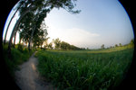 CRW_0076