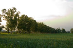 CRW_0081