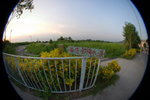 CRW_0097