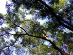 DSCF0019