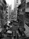 R0010084